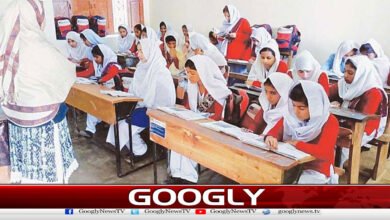 Punjab Government Decides to Outsource Public Schools
