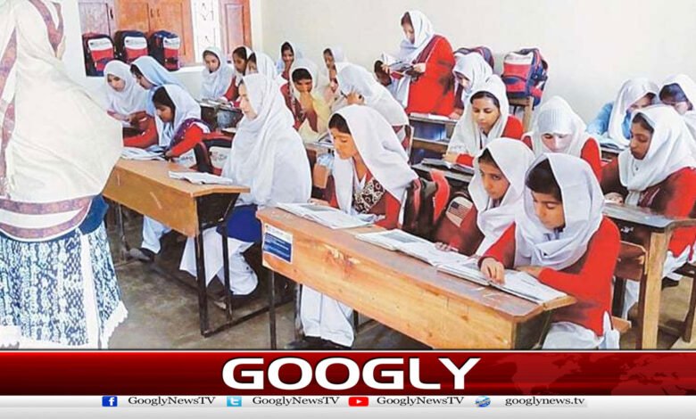 Punjab Government Decides to Outsource Public Schools