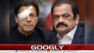 Politics should not be done on the appearance of Imran Khan's eyes, says Rana Thanaullah