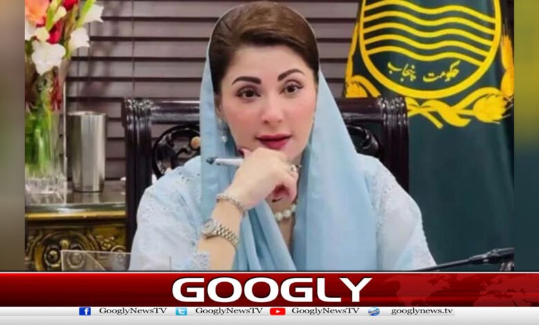 مریم نواز نے’ون پنجاب ون اسٹینڈر‘ پالیسی اپنانے کی منظوری دیدی 1 Maryam Nawaz approves adoption of ‘One Punjab, One Standard’ policy
