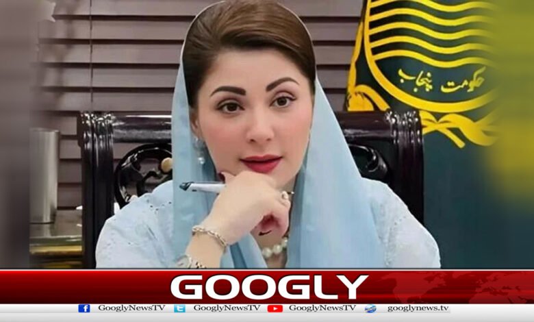 Maryam Nawaz launches portal called Talk to CM