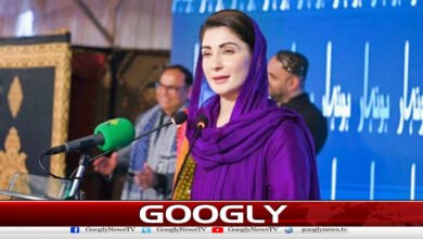 I swear Imran Khan is getting all the facilities in jail, says Maryam Nawaz