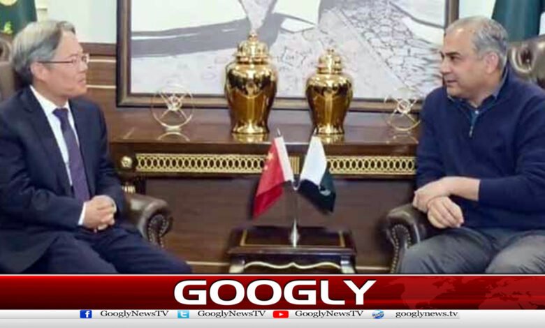 Chinese Ambassador meets Mohsin Naqvi, discusses important issues including terrorism