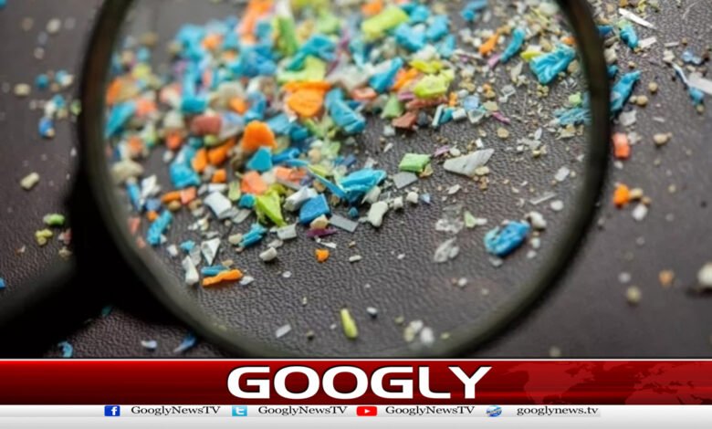 Plastic particles may increase cancer rates in men