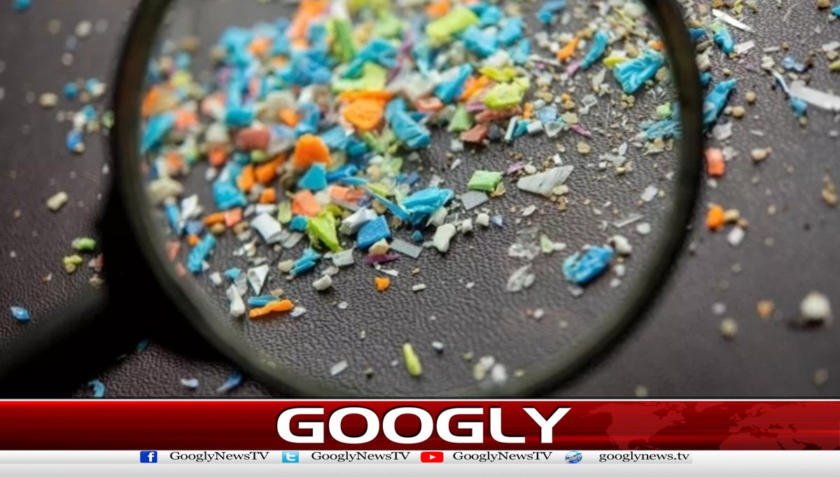 پلاسٹک کے ذرات سے مردوں میں کینسرکی شرح بڑھنےکاخدشہ