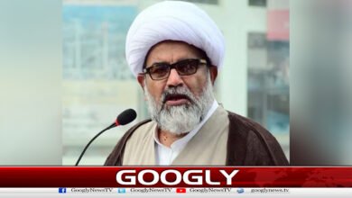 Raja Nasir Abbas advises the Knesset to seek reconciliation with Imran Khan