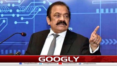 Rana Thanaullah advises opposition alliance to meet PM seriously