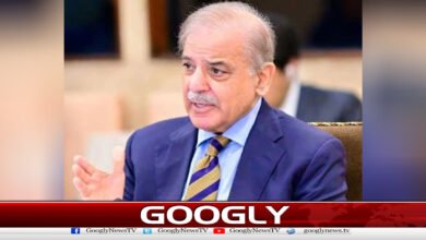 شہبازشریف نےاقتصادی صورتحال کواطمینان بخش قرار دیدیا 5 Shehbaz Sharif described the economic situation as satisfactory.