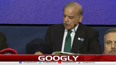 فلسطینی عوام کو اپنی سرزمین کا مکمل حق ہونا چاہیے،وزیراعظم 2 Palestinian people should have full right to their land, says PM