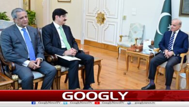Prime Minister assures Sindh CM of cooperation in development projects