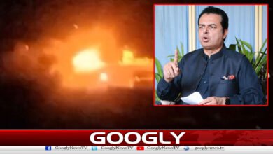 Afghanistan will not be allowed to snatch Pakistan's peace, says Talal Chaudhry