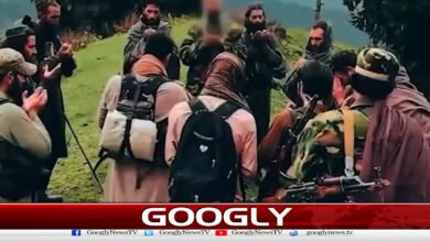 Taliban are providing safe haven to terrorist groups, says international journal