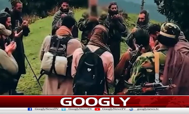 Taliban are providing safe haven to terrorist groups, says international journal