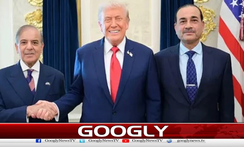 ٹرمپ نےبورڈ آف پیس کے اجلاس میں فیلڈمارشل اور شہباز شریف کی تعریف کردی 1 Trump praises Field Marshal and Shahbaz Sharif at Peace Board meeting
