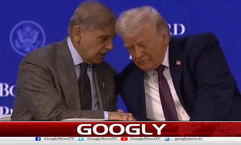 Shahbaz Sharif to attend Board of Peace meeting