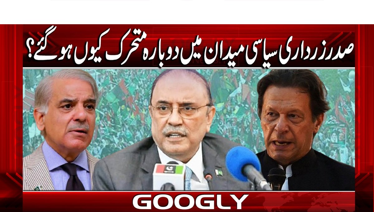 صدرزرداری سیاسی میدان میں دوبارہ متحرک کیوں ہو گئے؟