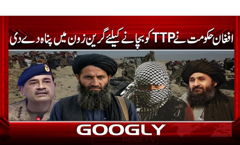 0 گرین زون میں پناہ .325