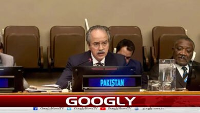 Terrorist elements in Afghanistan have become a threat to the world: Asim Iftikhar