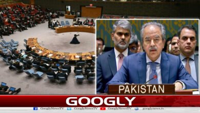 Security Council: Pakistan condemns attacks on Iran, calls for de-escalation