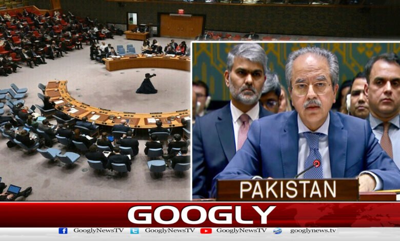 Security Council: Pakistan condemns attacks on Iran, calls for de-escalation