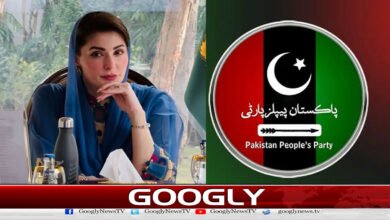 PPP effectively joins Maryam's Punjab government