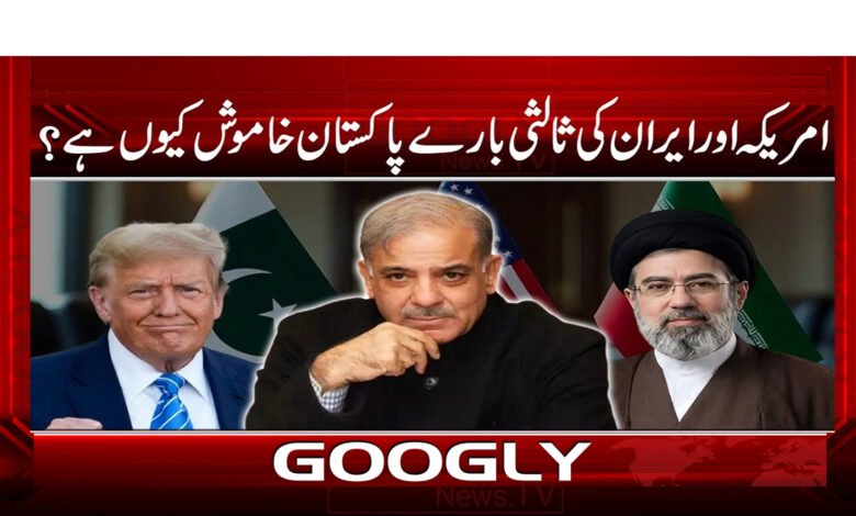 11 ایران امریکہ مذاکرات میں ثالثی 1