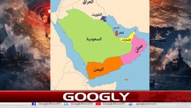 Why are millions of Pakistanis stuck in Gulf countries?