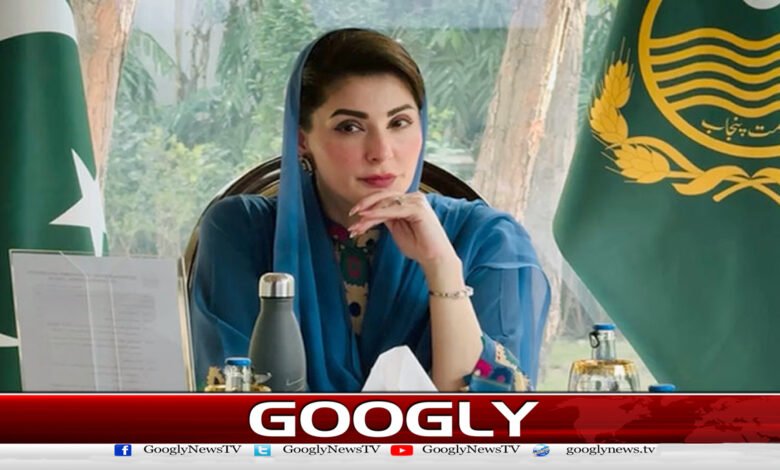 Punjab government decides to build 17 new small dams in the province