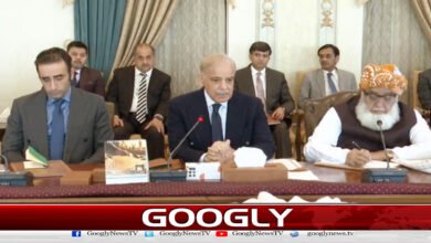 Middle East tensions: Pakistan made every effort to reduce the conflict, briefing parliamentary leaders