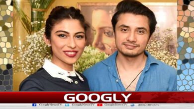 Defamation case: Court fines Mesha Shafi Rs 5 million