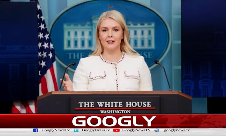 صدر ٹرمپ 6 اپریل سے قبل ایران سے ڈیل چاہتے ہیں: ترجمان وائٹ ہاؤس 1 President Trump wants deal with Iran before April 6: White House spokesman