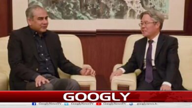 Federal Interior Minister meets Chinese Ambassador, discusses Middle East situation
