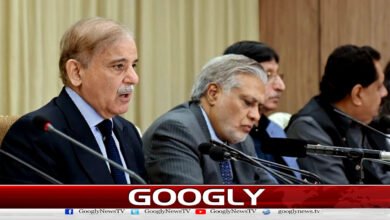 Did the Shahbaz government bring Pakistan to the brink of economic collapse?