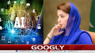 Punjab government decides to introduce AI governance system in the province