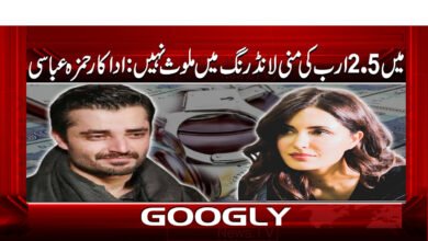 میں 5۔2 ارب کی منی لانڈرنگ میں ملوث نہیں: اداکار حمزہ عباسی 2 4 میں 5۔2 ارب کی منی لانڈرنگ 1