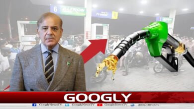 Why did the government put its burden on the people by increasing the price of petrol?