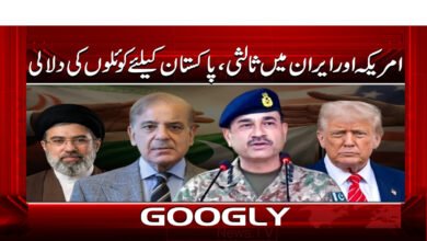 5 امریکہ اور ایران میں ثالثی، پاکستان 1