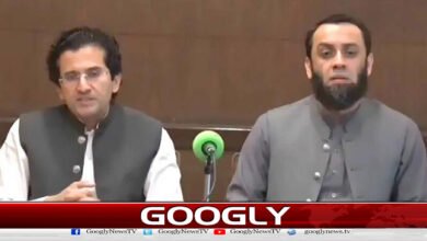 Oil prices may rise further in the global market: Federal Minister