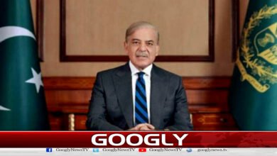 Prime Minister decides not to increase prices of petroleum products