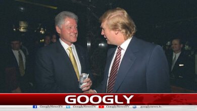 How did former President Clinton expose Trump's sexual excesses?