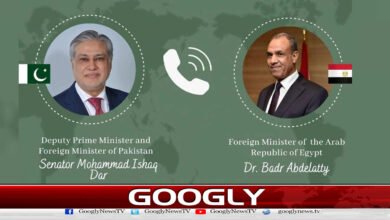 اسحاق ڈار کا مصر کے وزیر خارجہ سے رابطہ، مشرق وسطیٰ کی صورت حال پر گفتگو 5 Ishaq Dar contacts Egyptian Foreign Minister, discusses Middle East situation