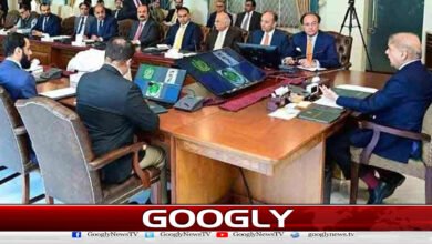 Will the Ding Tapao policy save the government from public anger?