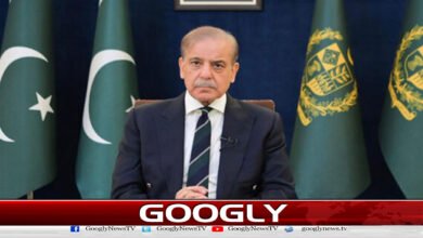 وزیراعظم کا پیٹرولیم مصنوعات کی قیمتیں برقرار رکھنے کا فیصلہ 5 Prime Minister decides to maintain prices of petroleum products