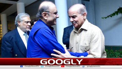 Prime Minister holds important meeting with President, discusses economic situation