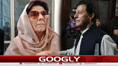 Imran Khan is being forced to make a deal or negotiate, Aleema Khan
