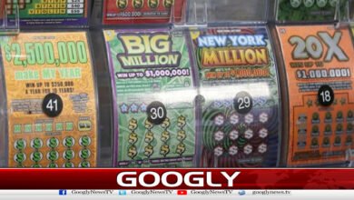 Stranger's advice wins citizen a big prize