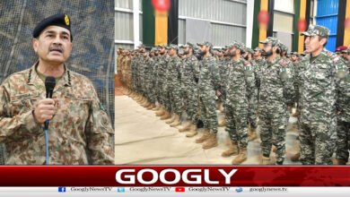 Use of Afghan soil against Pakistan is intolerable, says Field Marshal