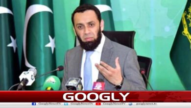 سیاسی مخالفت میں ملک کی تضحیک ناقابل برداشت ہے،عطا اللہ تارڑ 5 Mocking the country in political opposition is unbearable, Attaullah Tarar