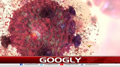 کینسر خلیات سے لڑنے کیلئے نیا آئرن نینو مٹیریل تیار 4 New iron nanomaterial developed to fight cancer cells