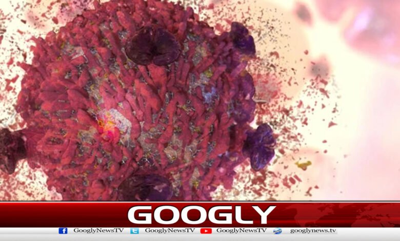 New iron nanomaterial developed to fight cancer cells